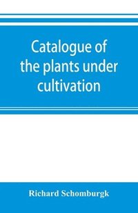 bokomslag Catalogue of the plants under cultivation in the Government Botanic Garden, Adelaide, South Australia