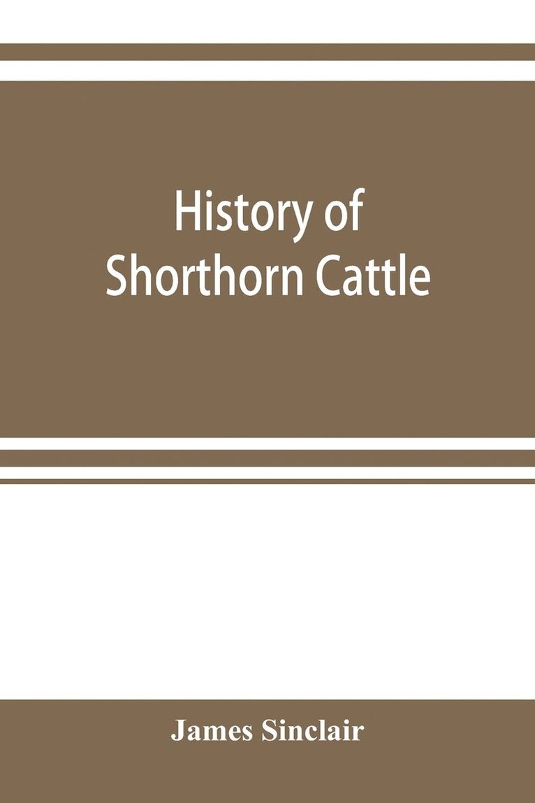 History of Shorthorn cattle 1