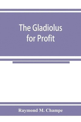 gladiolus for profit