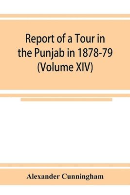 Alexander Cunningham - Report of a Tour in the Punjab in 1878-79 (Volume XIV), Häftad