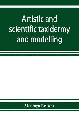 bokomslag Artistic and scientific taxidermy and modelling; a manual of instruction in the methods of preserving and reproducing the correct form of all natural objects, including a chapter on the modelling of