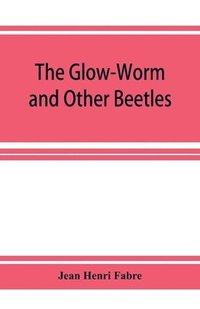 bokomslag The Glow-Worm and Other Beetles
