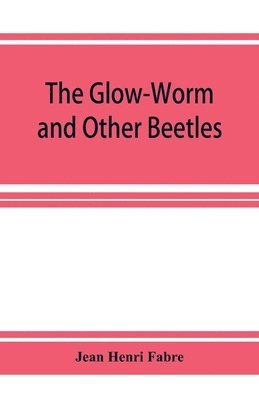 bokomslag The Glow-Worm and Other Beetles