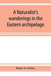 bokomslag A naturalist's wanderings in the Eastern archipelago; a narrative of travel and exploration from 1878 to 1883