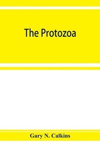 bokomslag The Protozoa
