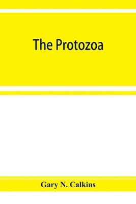 The Protozoa 1