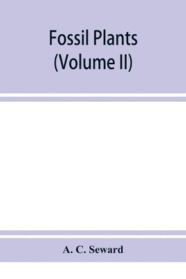 bokomslag Fossil plants