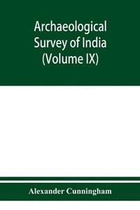 bokomslag Archaeological Survey of India Report of a Tour in The Central Provinces in1873-74 And 1874-75 (Volume IX)