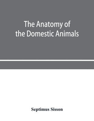 bokomslag anatomy of the domestic animals