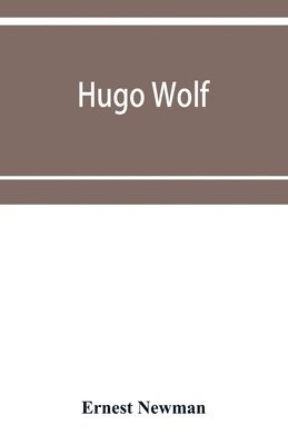 bokomslag Hugo Wolf