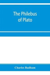 bokomslag philebus of Plato