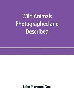 bokomslag Wild animals photographed and described