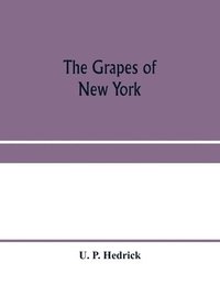 bokomslag The grapes of New York