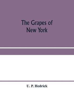 bokomslag The grapes of New York