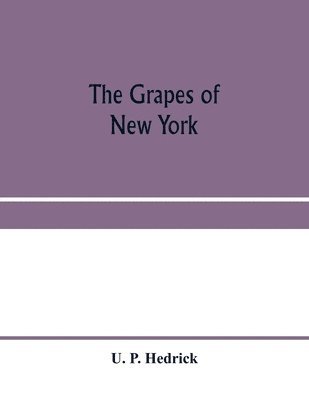 grapes of New York
