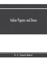 bokomslag Indian pigeons and doves