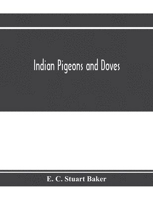 bokomslag Indian pigeons and doves