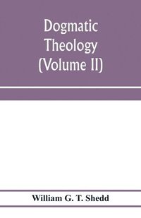 bokomslag Dogmatic theology (Volume II)