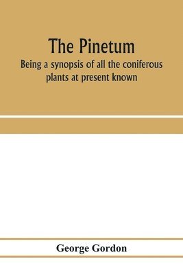 bokomslag The pinetum