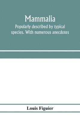bokomslag Mammalia. Popularly described by typical species. With numerous anecdotes