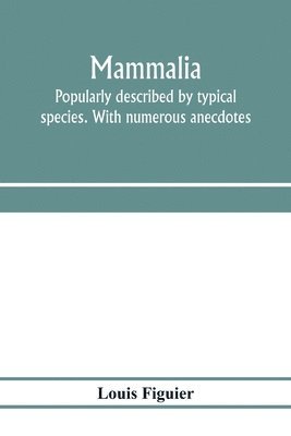 Mammalia. Popularly described by typical species. With numerous anecdotes 1