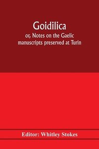 bokomslag Goidilica; or, Notes on the Gaelic manuscripts preserved at Turin, Milan, Berne, Leyden, the monastery of S. Paul, Carinthia, and Cambridge, with eight hymns from the Liber hymnorum, and the