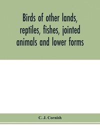 bokomslag Birds of other lands, reptiles, fishes, jointed animals and lower forms