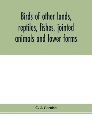 Birds of other lands, reptiles, fishes, jointed animals and lower forms 1