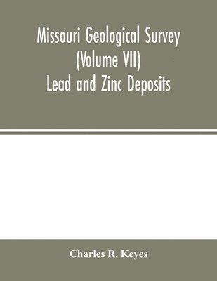 Missouri Geological Survey (Volume VII) 1