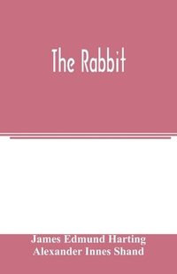 bokomslag The rabbit