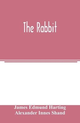 The rabbit 1