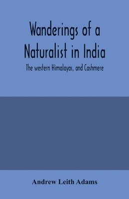 Wanderings of a naturalist in India 1