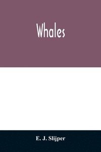 bokomslag Whales