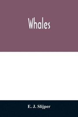 bokomslag Whales