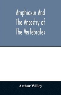 bokomslag Amphioxus and the ancestry of the vertebrates
