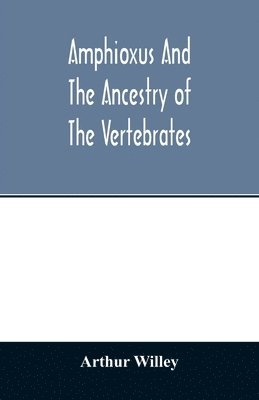 Arthur Willey - Amphioxus and the ancestry of the vertebrates, Häftad