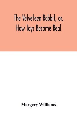 bokomslag velveteen rabbit, or, how toys become real