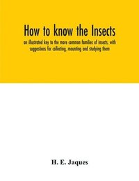 bokomslag How to know the insects; an illustrated key to the more common families of insects, with suggestions for collecting, mounting and studying them