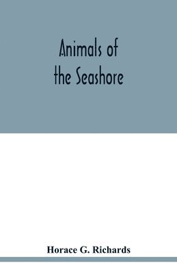 Animals of the seashore 1