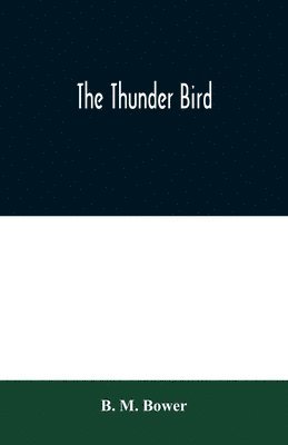 B M Bower - Thunder Bird, Häftad