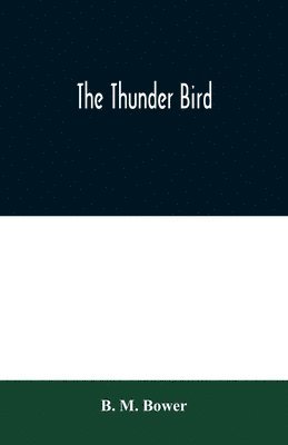 bokomslag The Thunder Bird