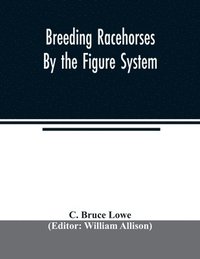 bokomslag Breeding racehorses by the figure system