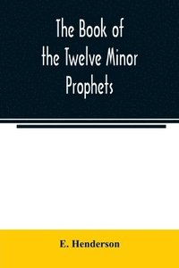 bokomslag The book of the twelve Minor prophets
