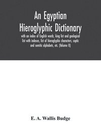 bokomslag Egyptian hieroglyphic dictionary
