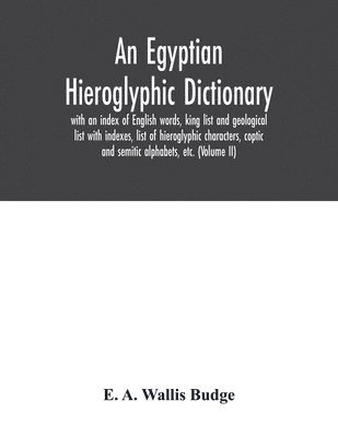 bokomslag Egyptian hieroglyphic dictionary