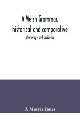 bokomslag A Welsh grammar, historical and comparative