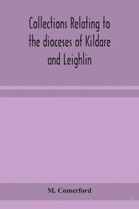 bokomslag Collections relating to the dioceses of Kildare and Leighlin
