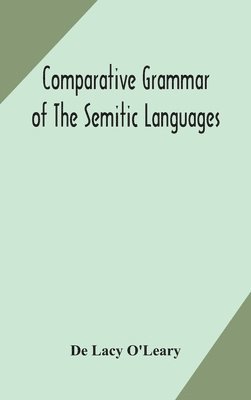 bokomslag Comparative grammar of the Semitic languages