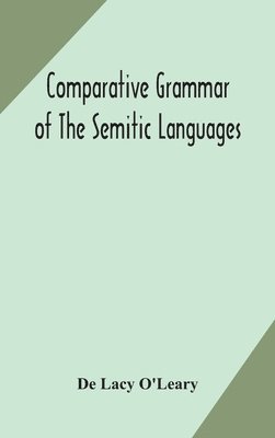 Comparative Grammar Of The Semitic Languages
