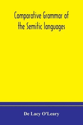 bokomslag Comparative grammar of the Semitic languages